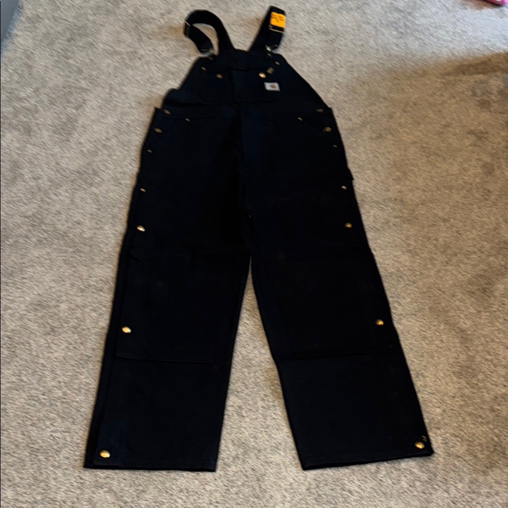 NEW Carhartt loose fit duck bib overhauls 38x32